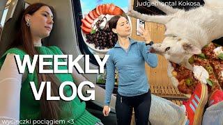 WEEKLY VLOG  // zakupy i lego z Michem / owsiankowa faza  / postępy Tadzika / bieganie i siłka //