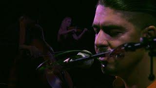 Wild Strings Trio - Bendjistan LIVE