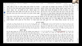 Bishul Akum Related Questions | Shiur by Rav Asher Weiss Shlit"a