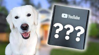YOUTUBE SENT OUR DOG THIS...