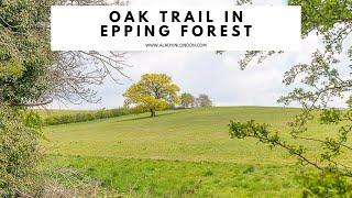 OAK TRAIL IN EPPING FOREST | Oak Trail Walk | Essex Walk | Best Epping Forest Walk | Theydon Bois