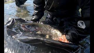 Fieldwork Highlights: Western Washington Fish and Wildlife Conservation Office