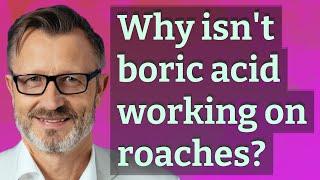 Why isn't boric acid working on roaches?