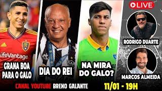 AO VIVO GRANA BOA PARA O GALO DIA DO REI  NA MIRA DO GALO 