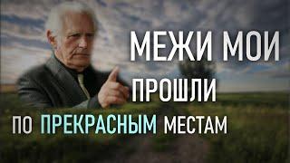 "Сидевший за моим столом предал меня" Фрагмент 15