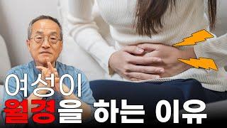 여성이 월경을 하는 이유, 월경의 진화에 대해서 / 최재천의 아마존, 마지 프라핏, 베벌리 스트라스만, Margie Profet, Beverly I. Strassmann