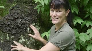 Exploring the wild foods of the Adirondacks with historical forager [Extended Interview]