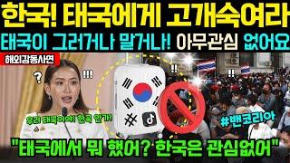 [해외감동사연] “이제 한국인들은 반성 많이 했죠?” 의기양양하게 한국으로 온 태국 틱톡커, 한국사람들 반응에 충격받고 멘