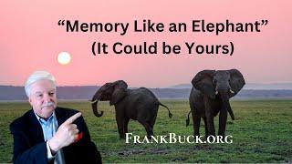 Memory Like an Elephant:  How to Take Notes About the People in Your Life