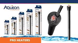 Aqueon Pro Heaters