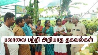 மக்களின் வீட்டுத்தோட்ட கேள்விகளும், பதிலும் | Top Gardening Q&A by Our Expert -Gardeners Must Watch