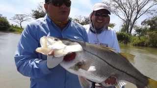 Robalo 12.2 Kg pescado en tour de pesca con Paco Marroquin