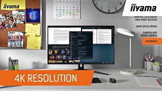 Is a 4K Monitor Right for You?