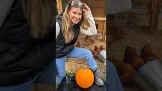 Cleaning the Chickens Coop  Thanks to my chickens for carving the pumpkin   #cleaningwithgabie