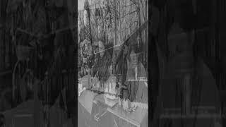 Палач своего народа