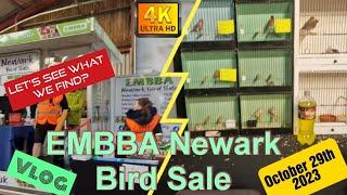 EMBBA Newark Bird Sale Vlog!! | October 29th 2023 | Let's See What Birds Are For Sale??