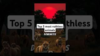 Tops 5 Most ruthless animals #facts #animalfacts #animals #animalknowledge #wildlife