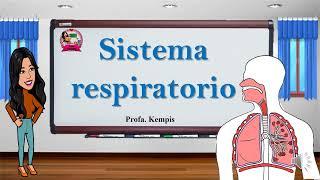 Sistema respiratorio