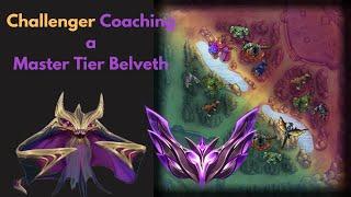 Challenger Jungler Coaching a Master Tier Belveth (Advanced Jungle Guide)