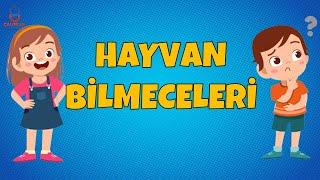 HAYVAN BİLMECELERİ