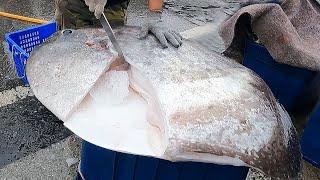 Amazing  sunfish cutting skills  / Homemade cooking (Detailed video of Taiwanese sunfish cutting )