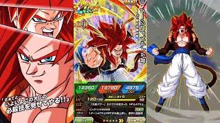 BEAUTIFUL!! NEW SSJ4 GOGETA AND NUOVA SHENRON SUPER ATTACKS!! - DBZ Dokkan Battle