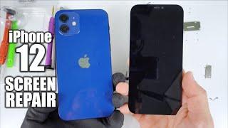 How To Teardown & Replace iPhone 12 Screen | Screen Repair