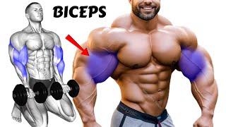 5 BEST Exercises for WIDER BICEPS