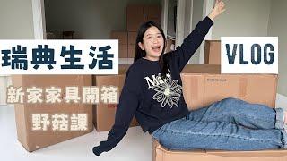 瑞典生活Vlog｜做蛋糕出了意外