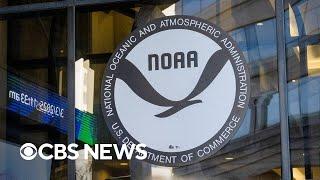Proposed NOAA cuts could put Americans in danger, ex-administrator warns