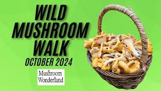 Wild Mushroom Walk- October 2024