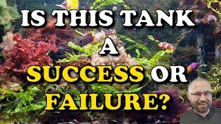 Not All Reef Tanks Need To Be PERFECT | Hair Algae In A Reef Tank Is OK