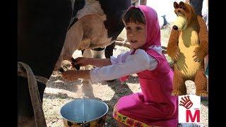 Влог vlog Маша и Миша доит корову как правильно доить корову руками