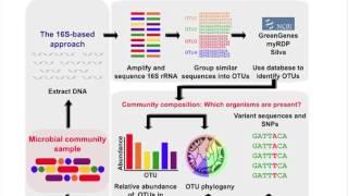 The Microbiome and the Human Microbiome Project