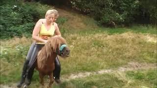 Riding Pony