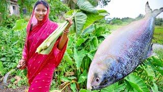 2 kg সাইজের ইলিশমাছ কেটে বেগুন দিয়ে রান্না সাথে ইলিশ মাছের মাথা দিয়ে কচু শাক || hilsha fish recipe