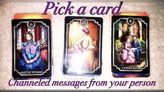 Channeled messages from your person//Pick a card//Timeless Love Tarot reading