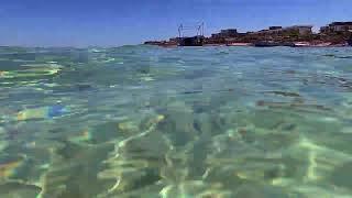 Swim with me on #swimTV in the Crystal Clear waters of Eel Garden, Dahab