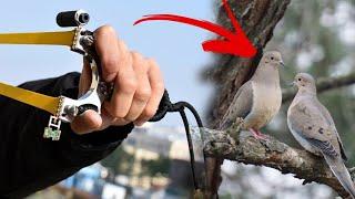 Modern Laser Slingshot for Birds Shooting | Outdoor Shooting Gadgets | Slingshot Hunting