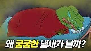 니 방 냄새