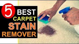  Top 5 Best Carpet Stain Remover in 2023-2024 Expert Guide