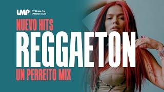 Un Perreito Reggaeton Mix (Yandel, Feid, Jhay Cortez, Karol G, Young Miko, Nicky Jam, Bad Bunny)