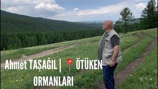 AHMET TAŞAĞIL | ÖTÜKEN ORMANLARI