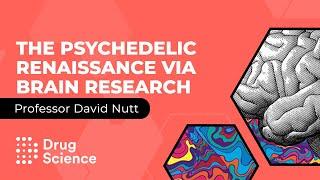 The Psychedelic Renaissance via Brain Research - Professor David Nutt