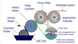 Flexography - Basic Introduction