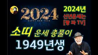 [1949년생] 2024년 소띠 전체운세 [갑진년] #소띠운세 #2024년운세 #갑진년운세 #운세 #신년운세 #무료운세 #1949년생