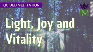 25 Minute Mindfulness Meditation Light, Joy, and Vitality / Mindful Movement