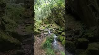 Au cœur de la nature en bretagne