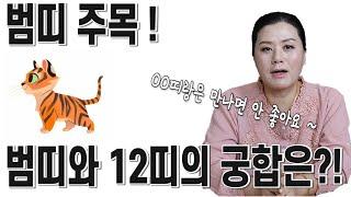 [용궁불사] 범띠와 12띠 궁합은??!  "OO띠와는 궁합이 매우 좋아요!"