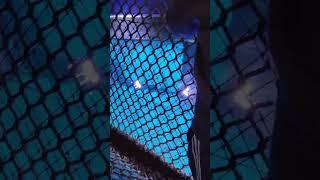 2023 bauerle cam aquar bridge2